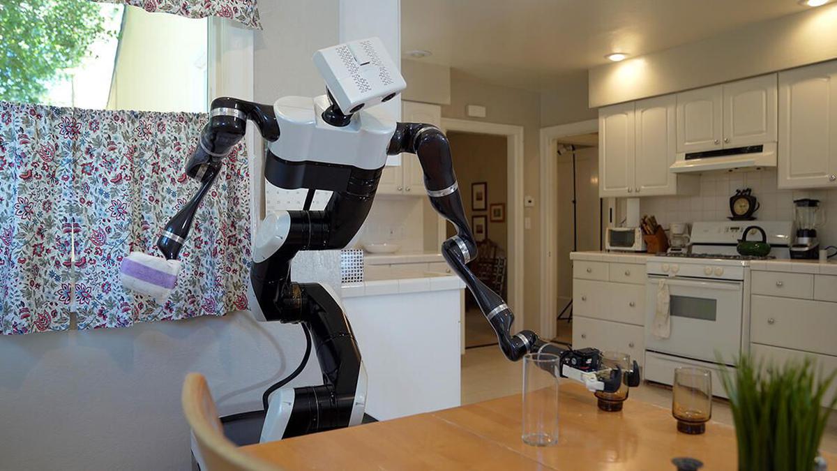 Selfie-clicking robots to do complex tasks at home