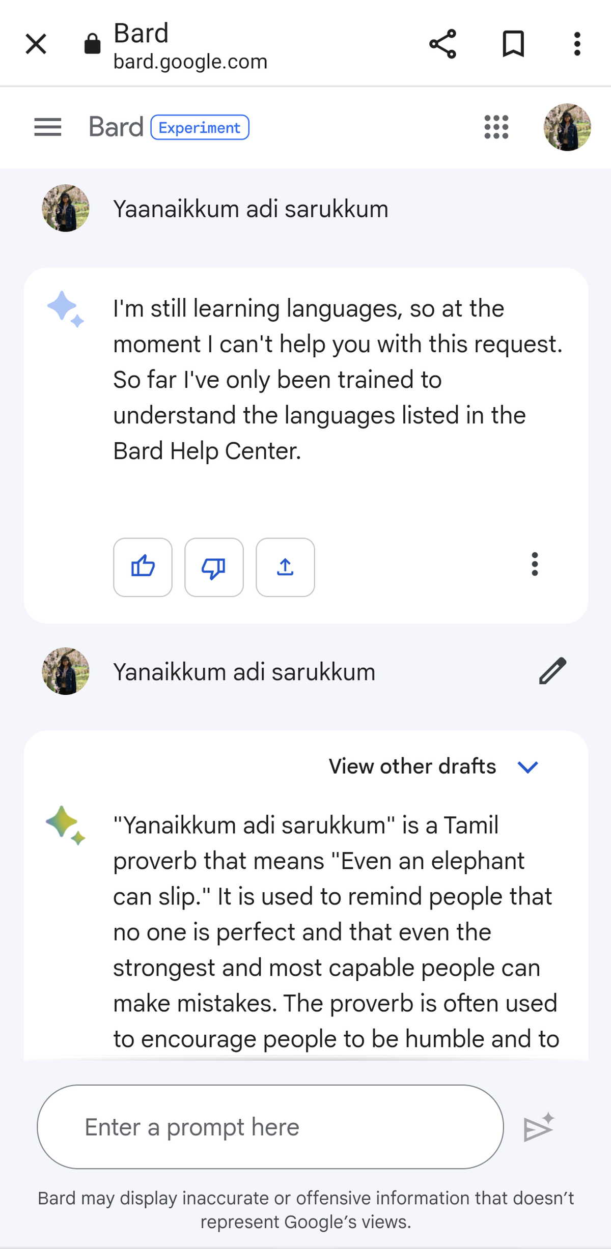Google Bard Chatbot Review Prematurity of launch clearly shows The Hindu