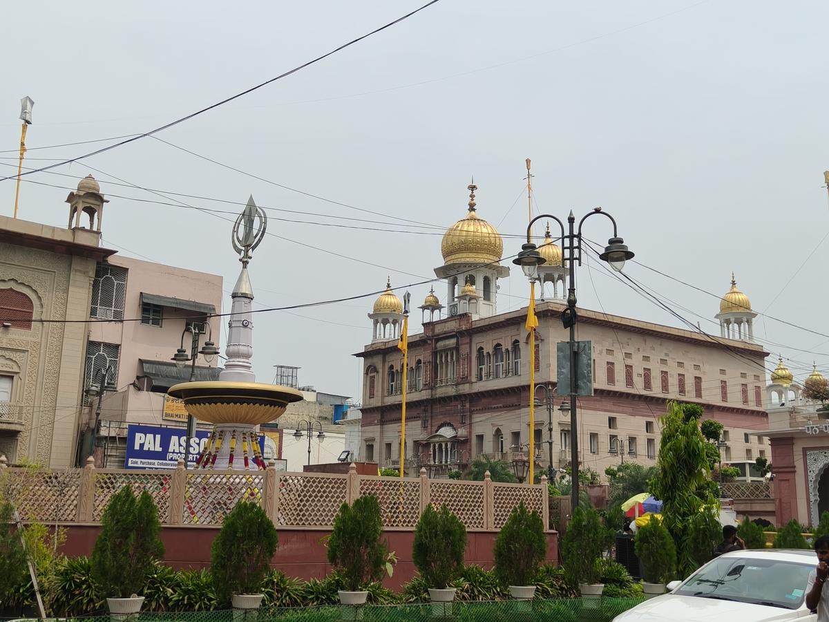 ओप्पो रेनो 14 प्रो कैमरा नमूना