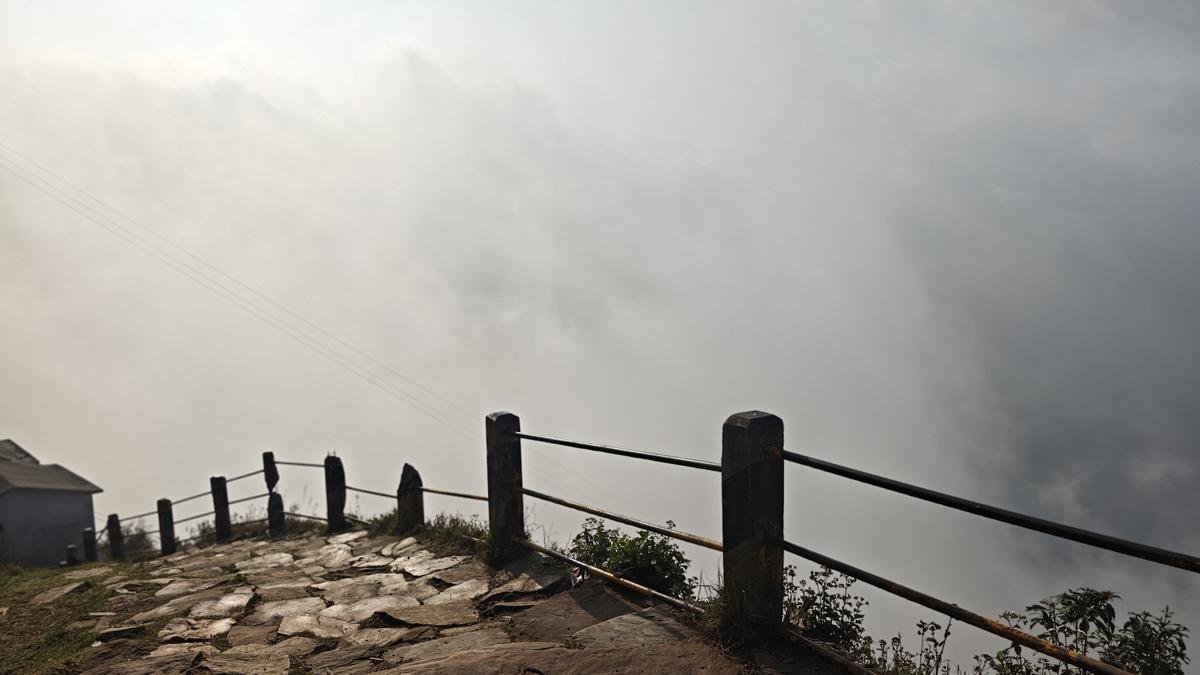 Xiaomi 17 Ultra camera sample