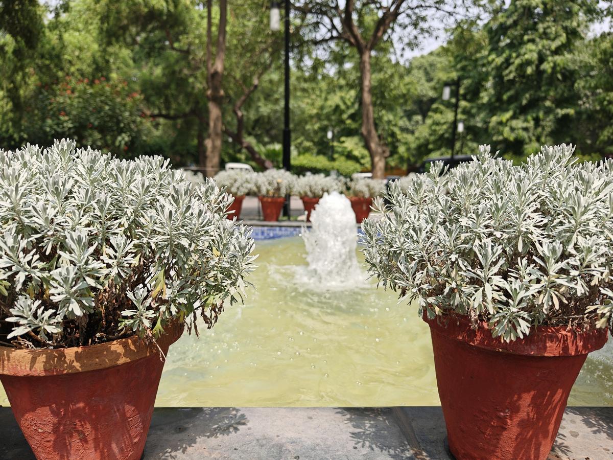 Oppo Find X8 Ultra camera sample Oppo Find X8 Ultra camera sample