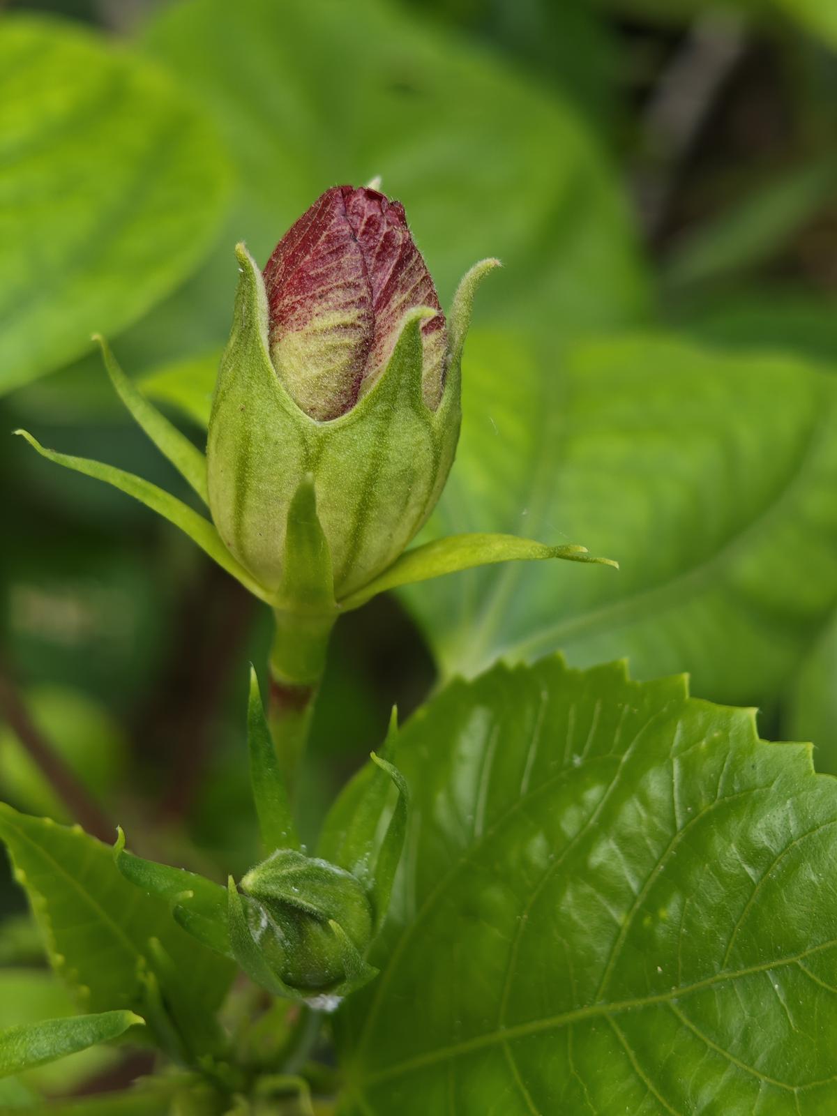 Nothing Phone camera sample Nothing Phone camera sample