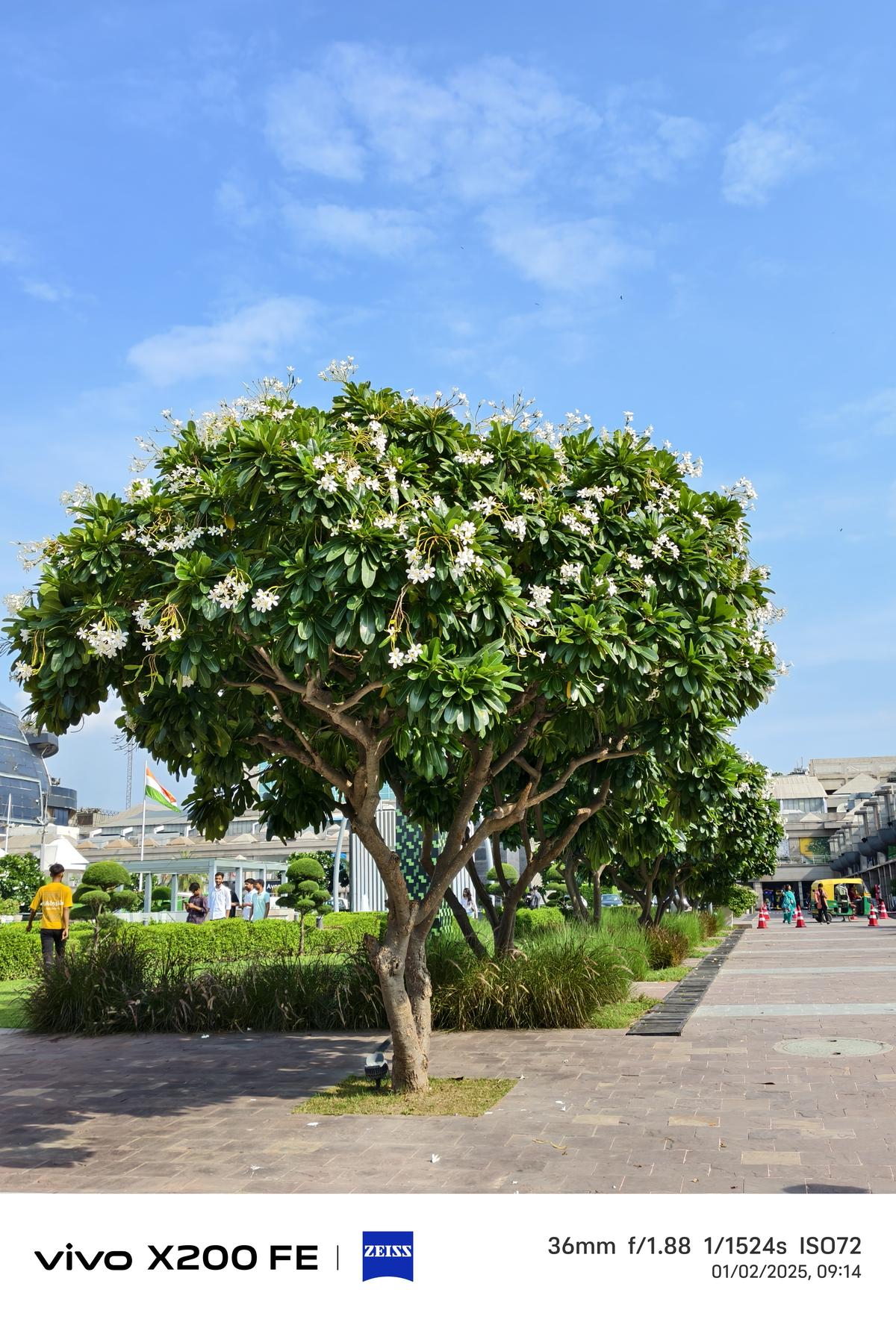 Vivo X200 FE camera sample