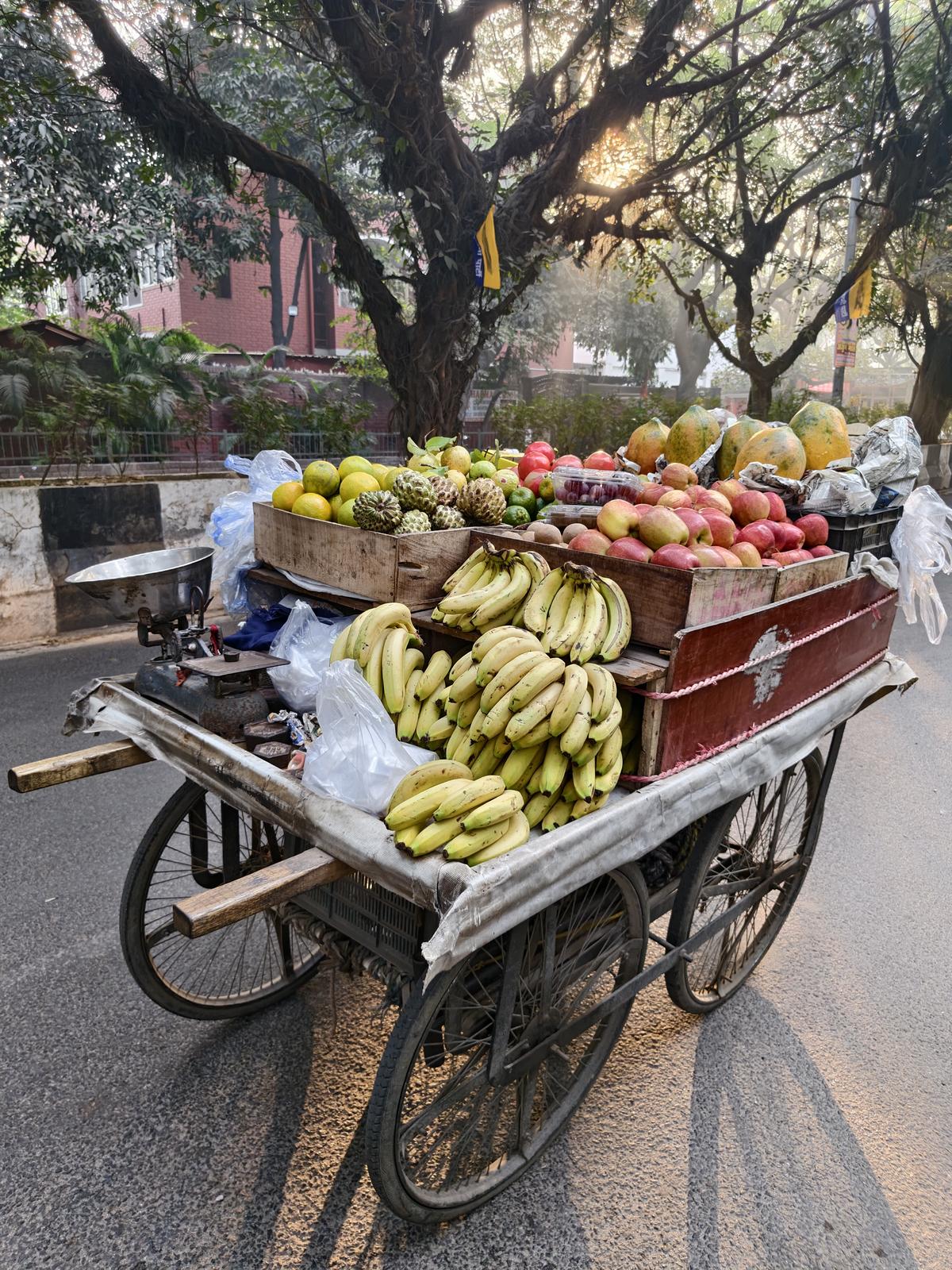 iQOO 15 camera sample iQOO 15 camera sample