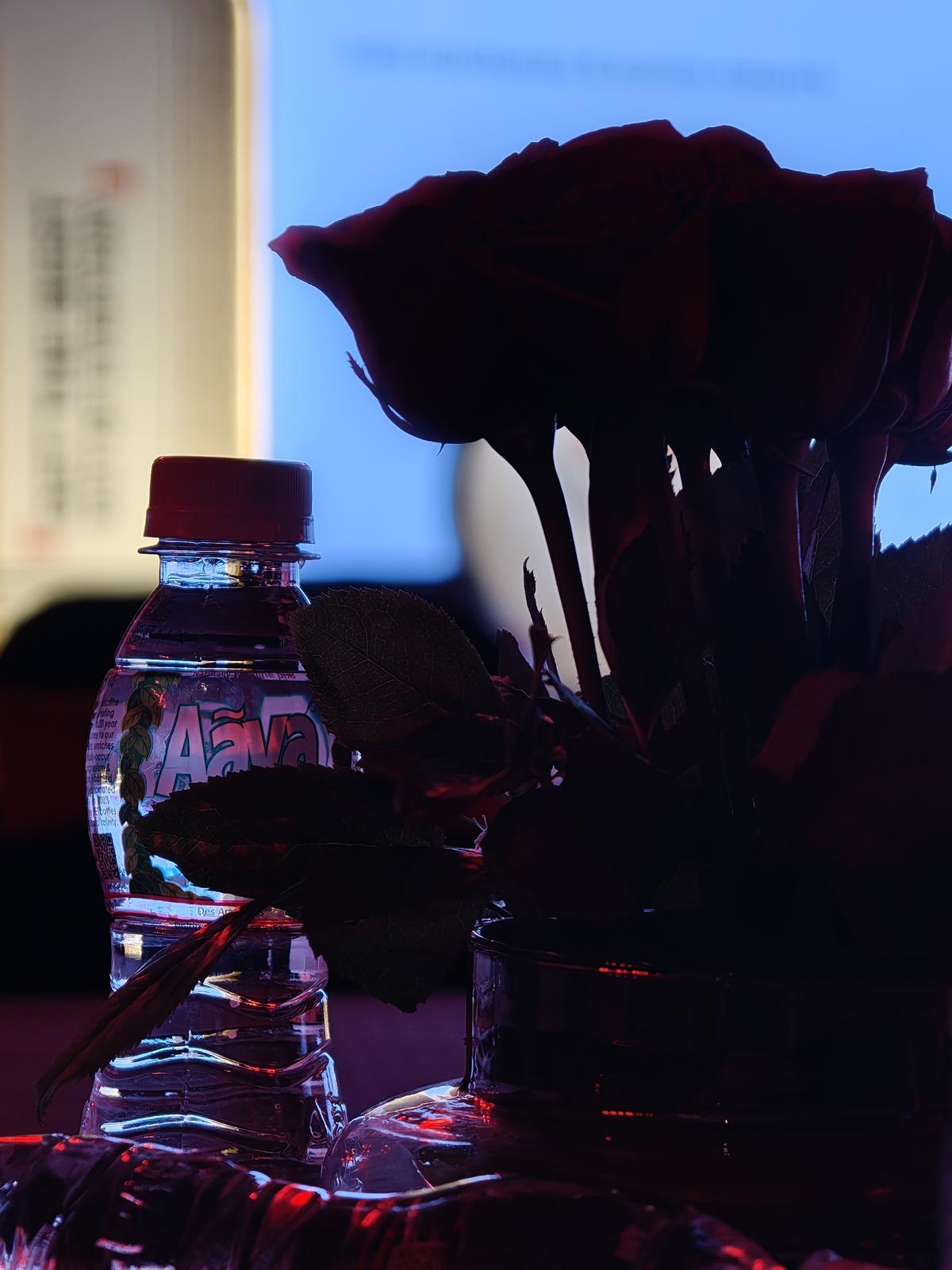 Oppo Find X8 Ultra camera sample Oppo Find X8 Ultra camera sample