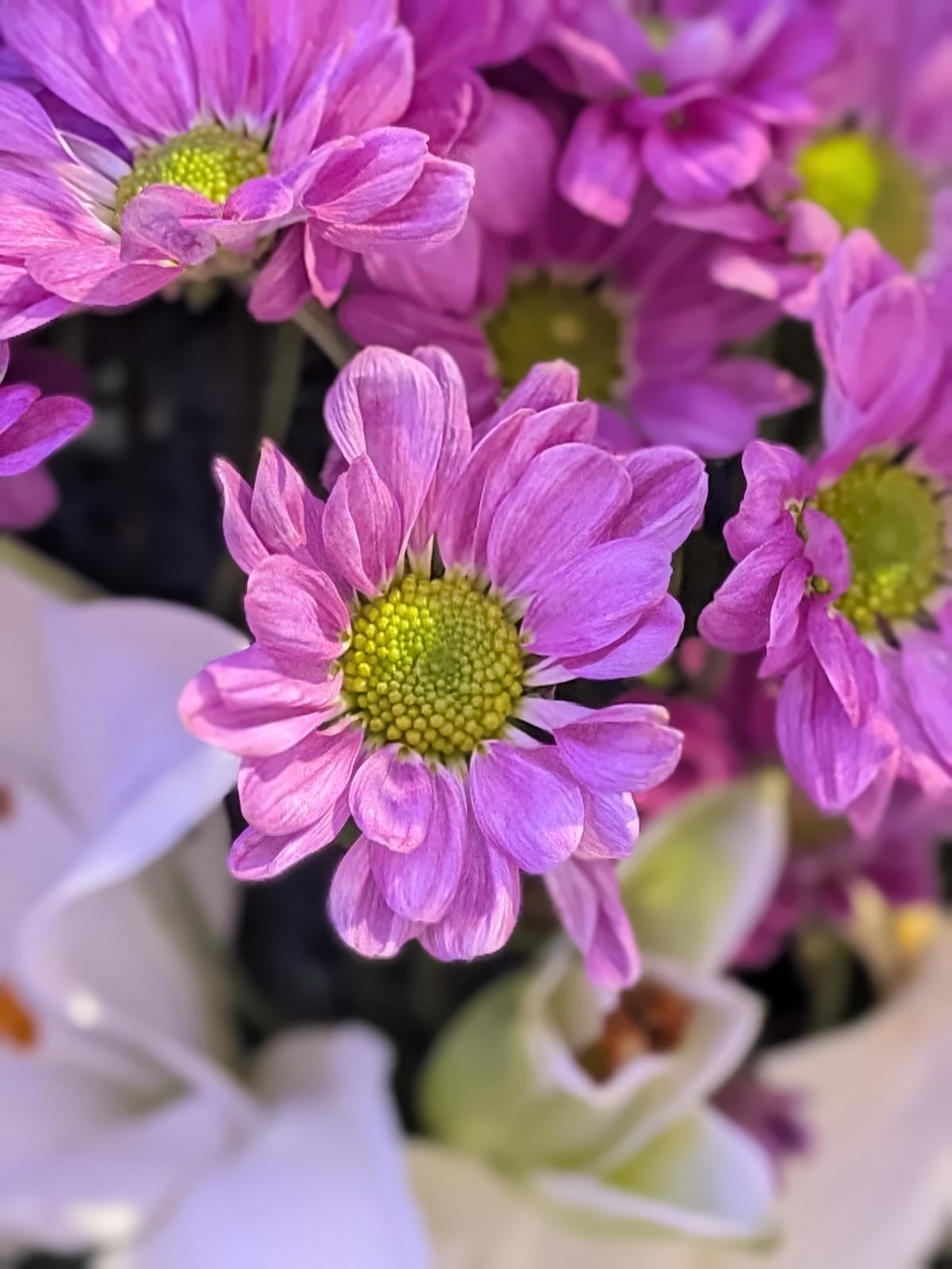 গুগল পিক্সেল 10 প্রো ফোল্ড পর্যালোচনা: সবচেয়ে সম্পূর্ণ ভাঁজযোগ্য ফোনগুলির মধ্যে একটি গুগল পিক্সেল 10 প্রো ফোল্ড পর্যালোচনা: সবচেয়ে সম্পূর্ণ ভাঁজযোগ্য ফোনগুলির মধ্যে একটি