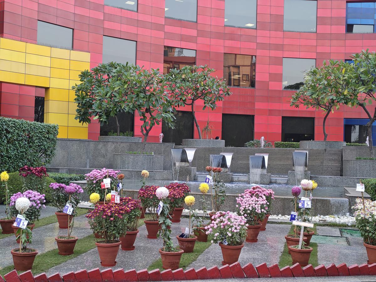 Motorola Edge 70 camera sample