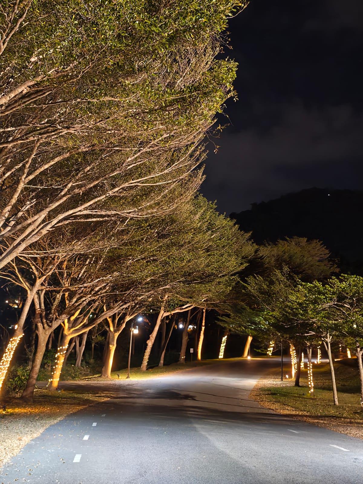 Motorola Signature camera sample Motorola Signature camera sample