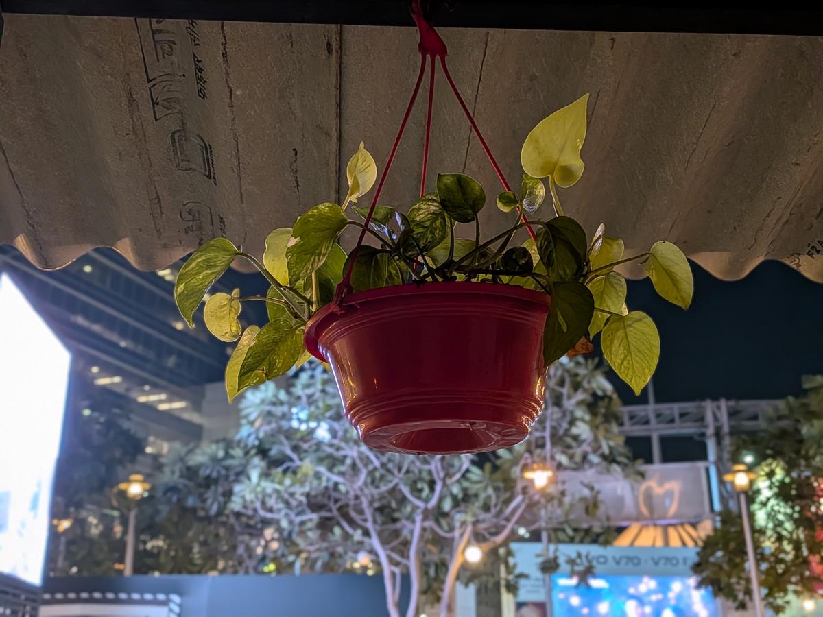 Google Pixel 10a कैमरा नमूना Google Pixel 10a कैमरा नमूना