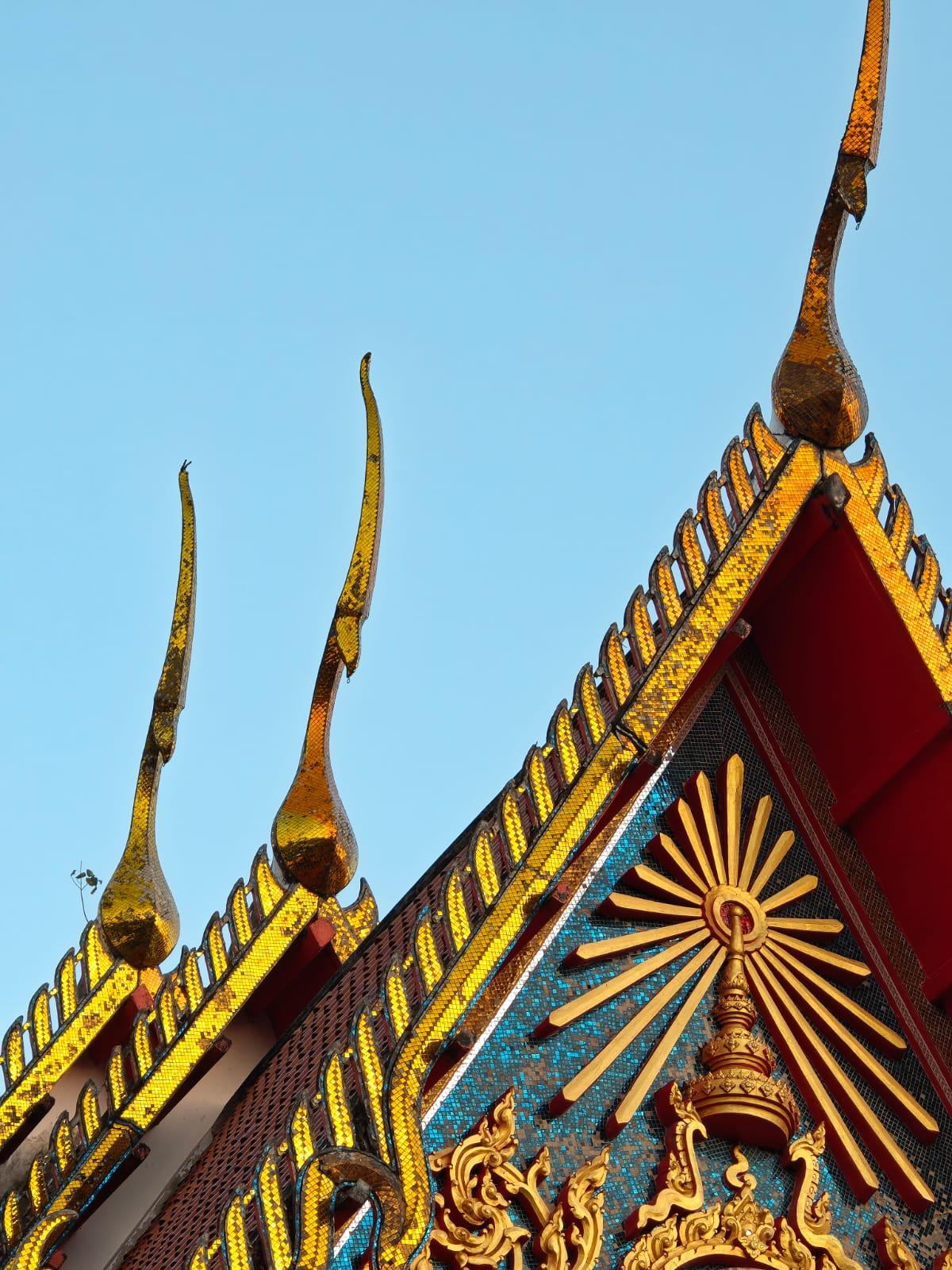 Motorola Signature camera sample Motorola Signature camera sample