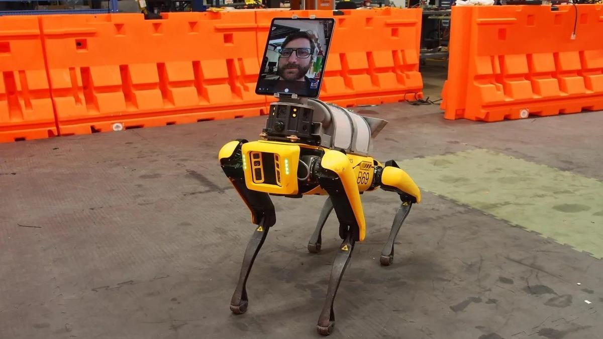 A contactless robotic platform to monitor patient's vital signs The Hindu