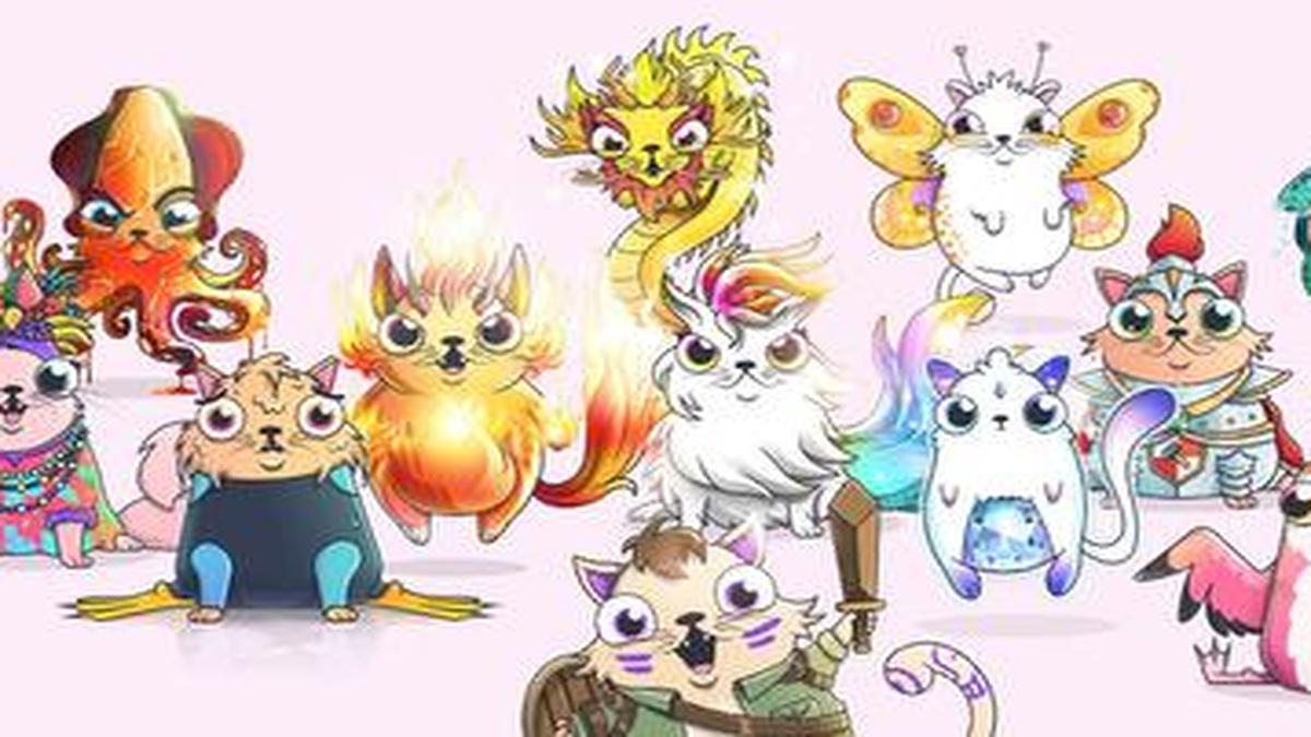 Micro-Chips: CryptoKitties and their place in the crypto-market - The Hindu