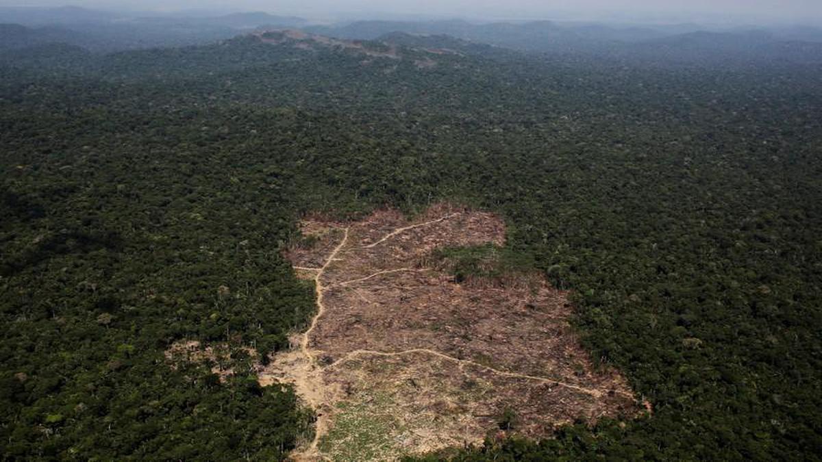 Facebook to curb sale of Amazon rainforest land on Marketplace