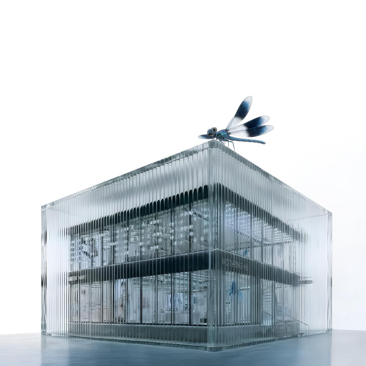 Nothing’s first retail store opens on Feb 14 in India, plans New York City and Tokyo next