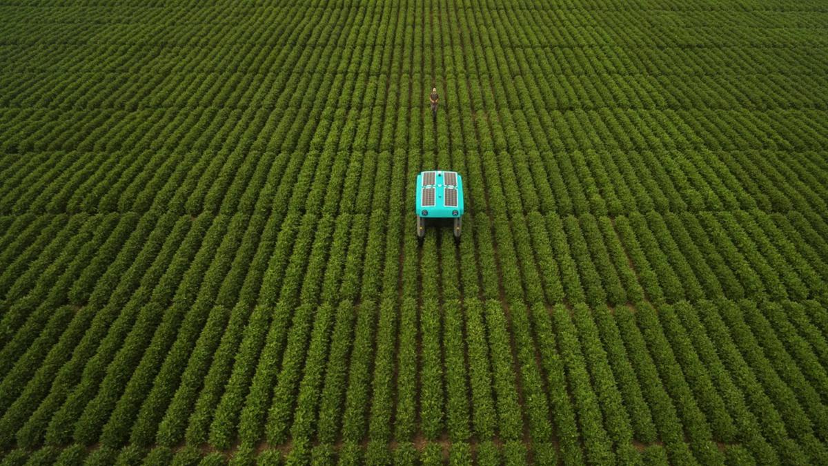 Alphabet's robotic plant buggy can scan crops, gather data