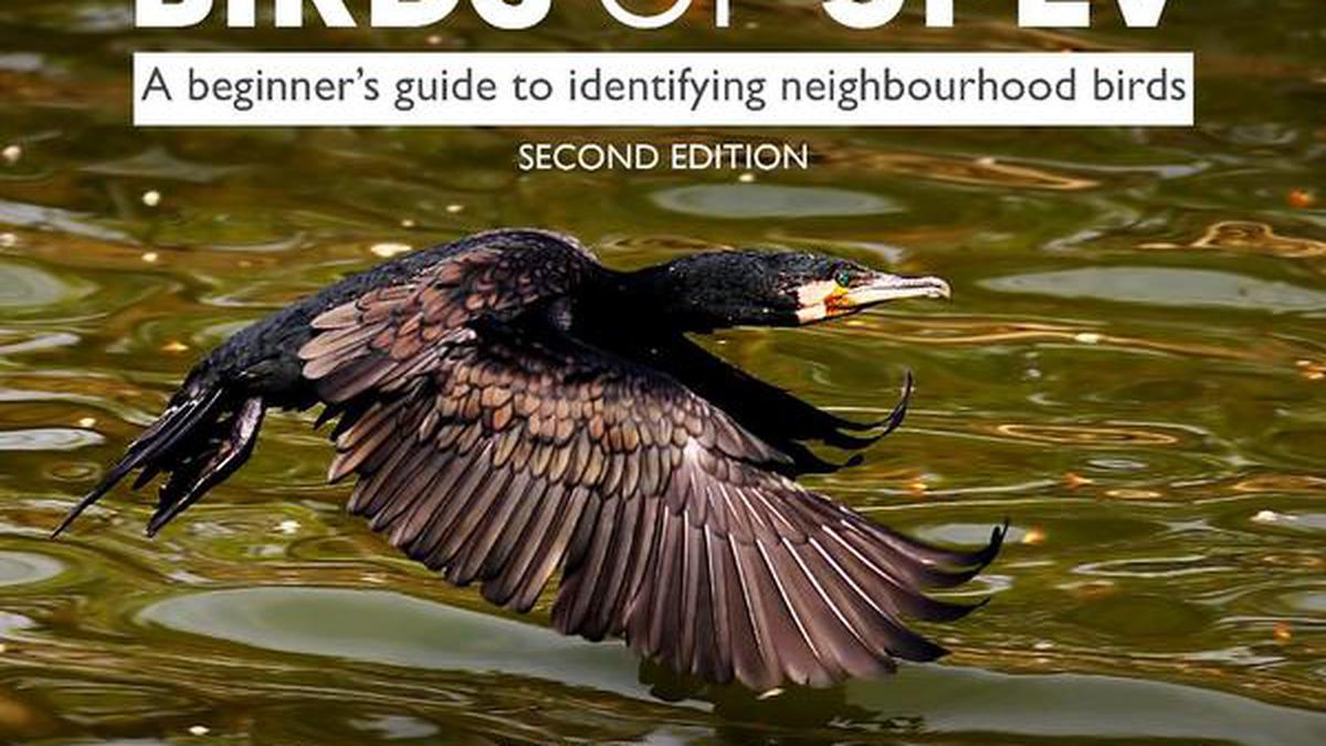 Checklists of birds drawn up just for their gated communities