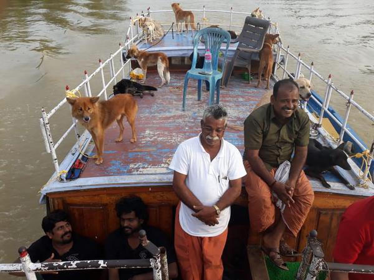 Kerala floods: Animal rescuers lend a helping hand - The Hindu