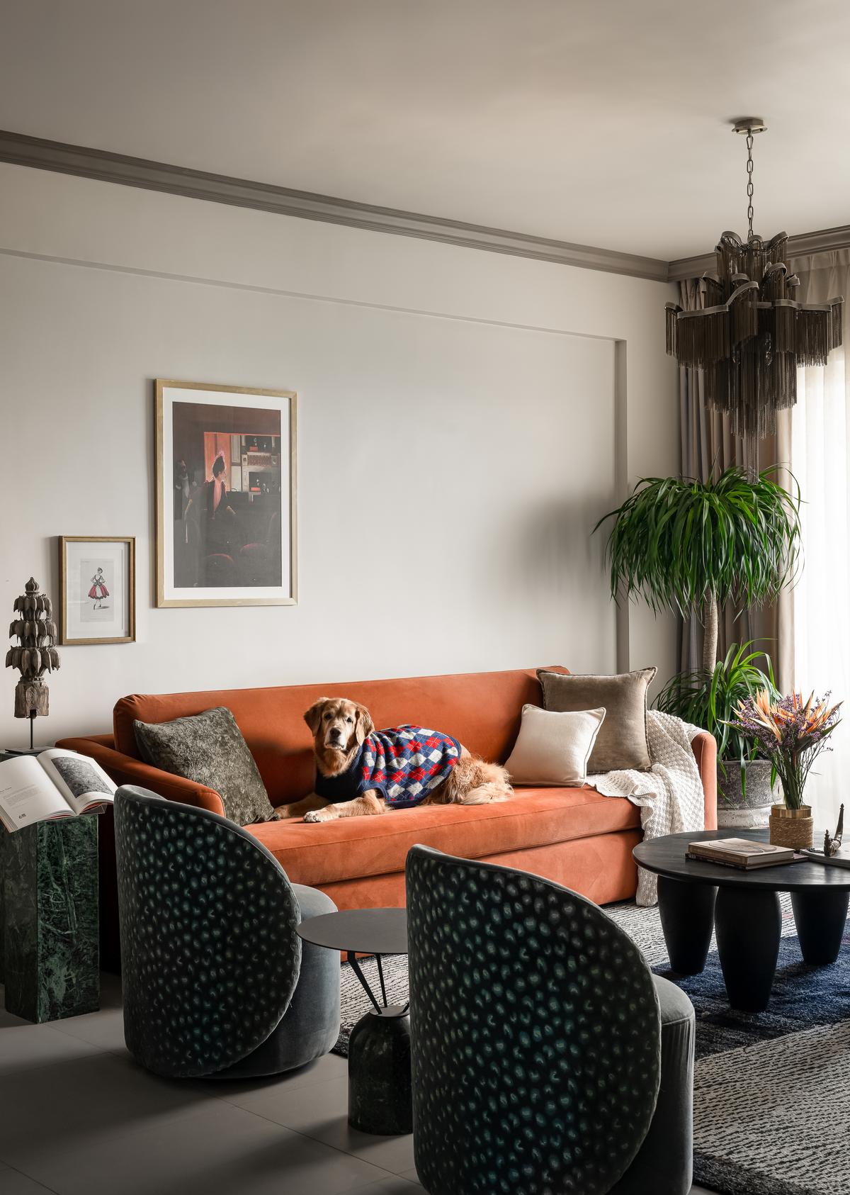 Retro Reverie from House of Katha. Retro Reverie from House of Katha.