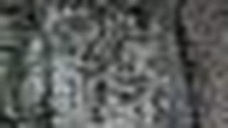 Vegetable sellers under the banyans outside Chevella town.