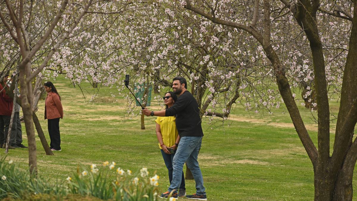 Love as a paradox | Review of Lōal Kashmir: Love and Longing in a Torn Land by Mehak Jamal