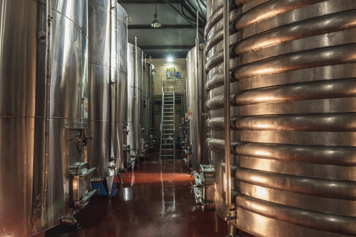 The tour of the vineyard, with grape varieties used to make Chenin Blanc and Cabernet Shiraz, and the tasting that follows aim to demystify wine. The tour of the vineyard, with grape varieties used to make Chenin Blanc and Cabernet Shiraz, and the tasting that follows aim to demystify wine.