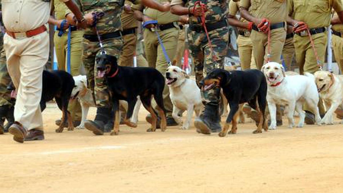 Dogs on duty - The Hindu