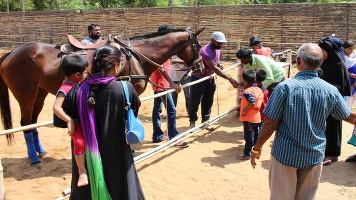 Madurai Riding School has introduced Equine or Hippo therapy, a medical