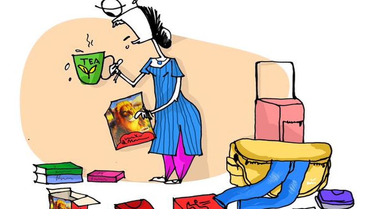 A mixed bag of bags The Hindu