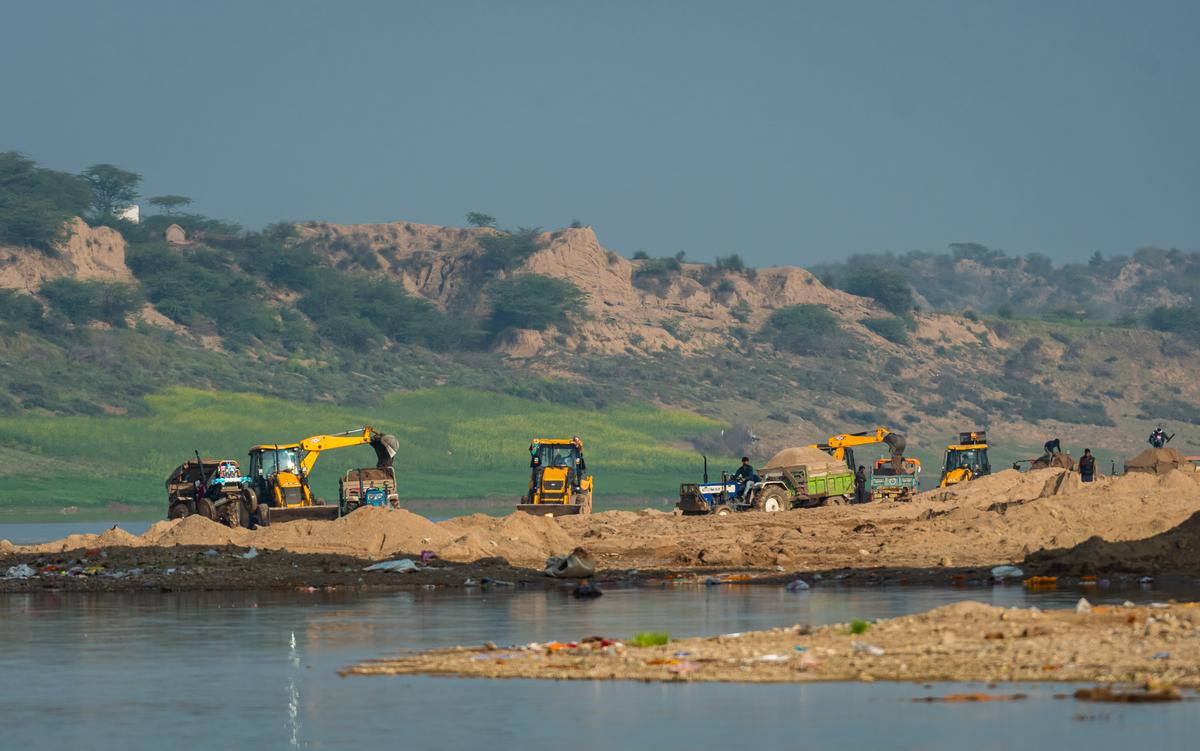 An ecocide is happening under the noses of police and forest authorities in  Chambal - The Hindu