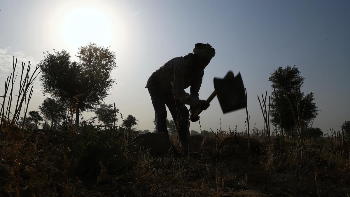 Review of The Corpse Collector by Vinu P. and Niyas Kareem