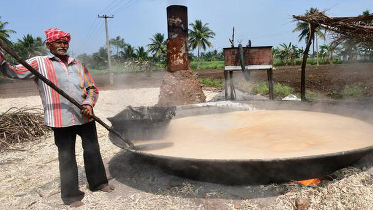 How country sugar or ‘naatu sakkarai’ is made at Erode’s Kavindapadi