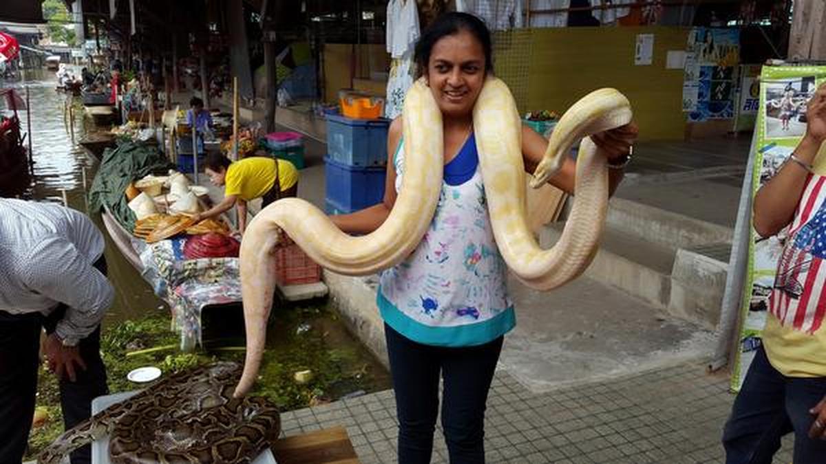 The snake catchers of Bengaluru The Hindu