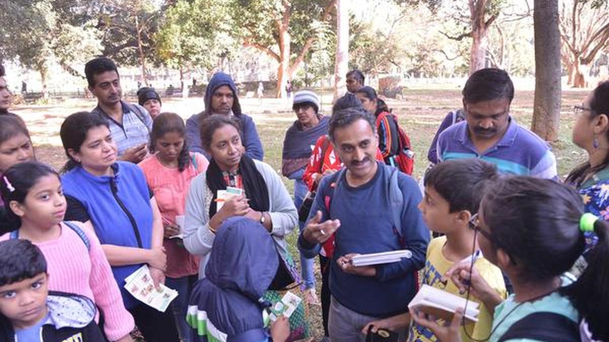 Empire of ants The Hindu