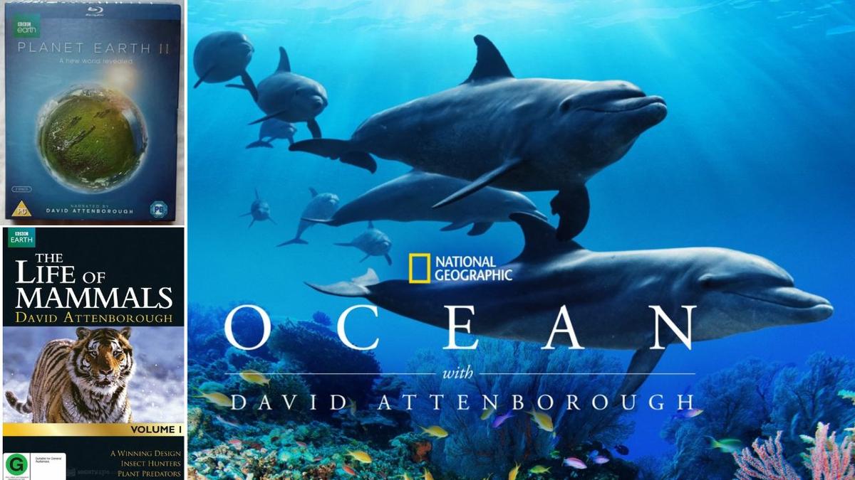 Planet Earth II, The Life of Mammals, and Ocean, shows and documentaries by David Attenborough.