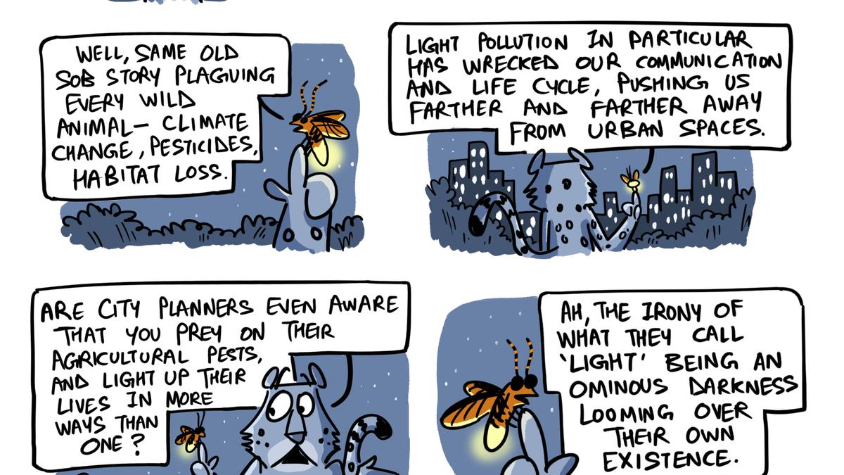 Light pollution and vanishing fireflies | Green Humour by Rohan Chakravarty