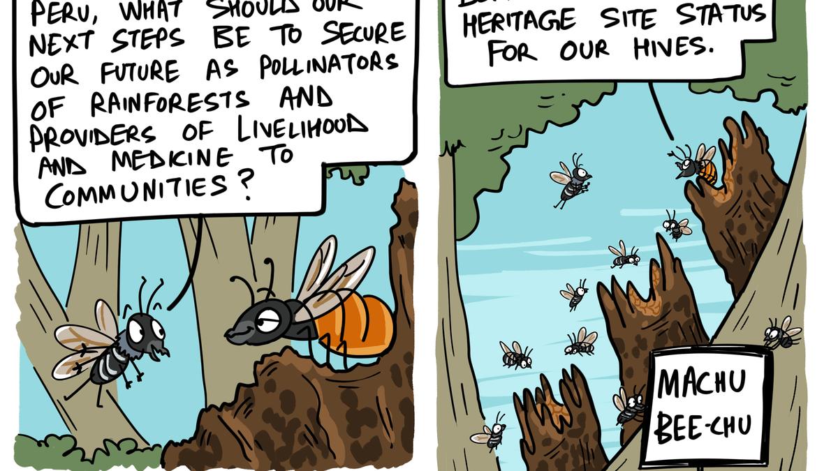Stingless bees from Peru granted legal rights | Green Humour by Rohan Chakravarty