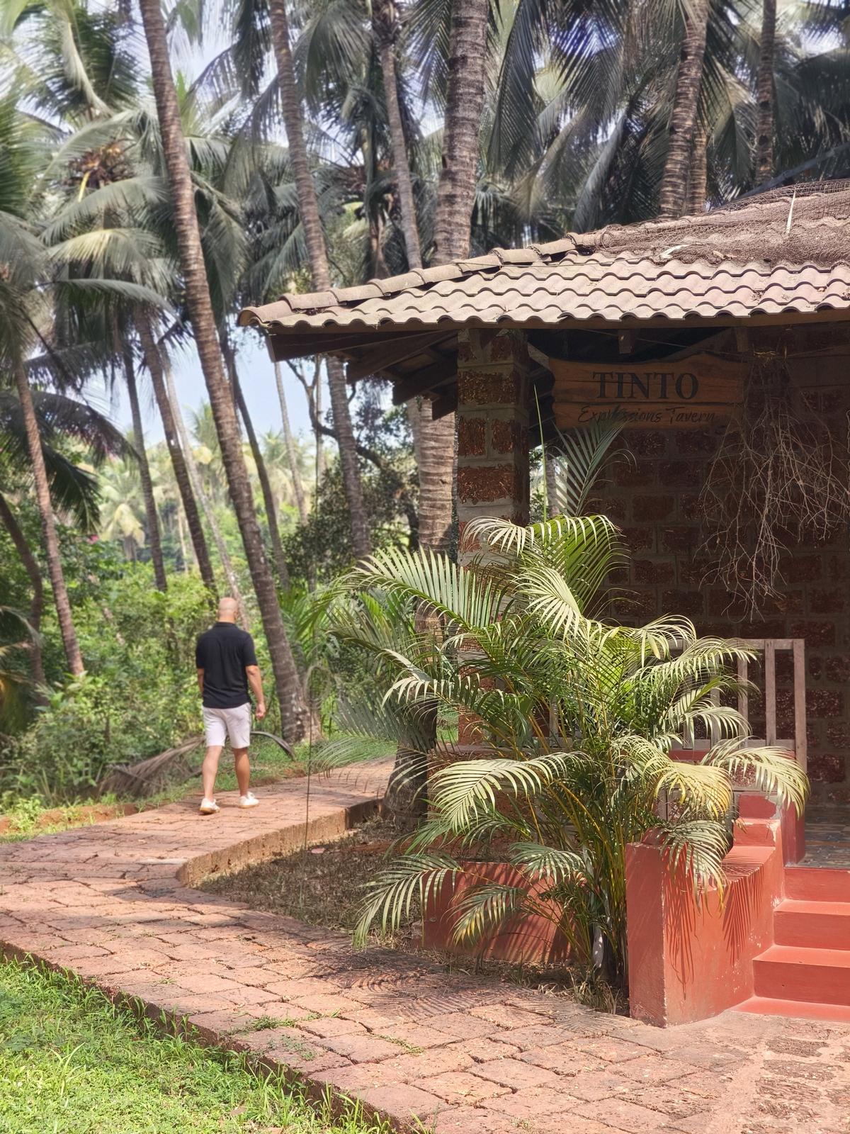 Urrak plantation hopping in Goa