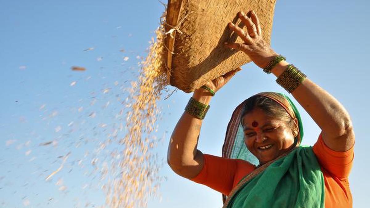 What does selfreliance really mean? Amazing stories emerge from India’s villages The Hindu