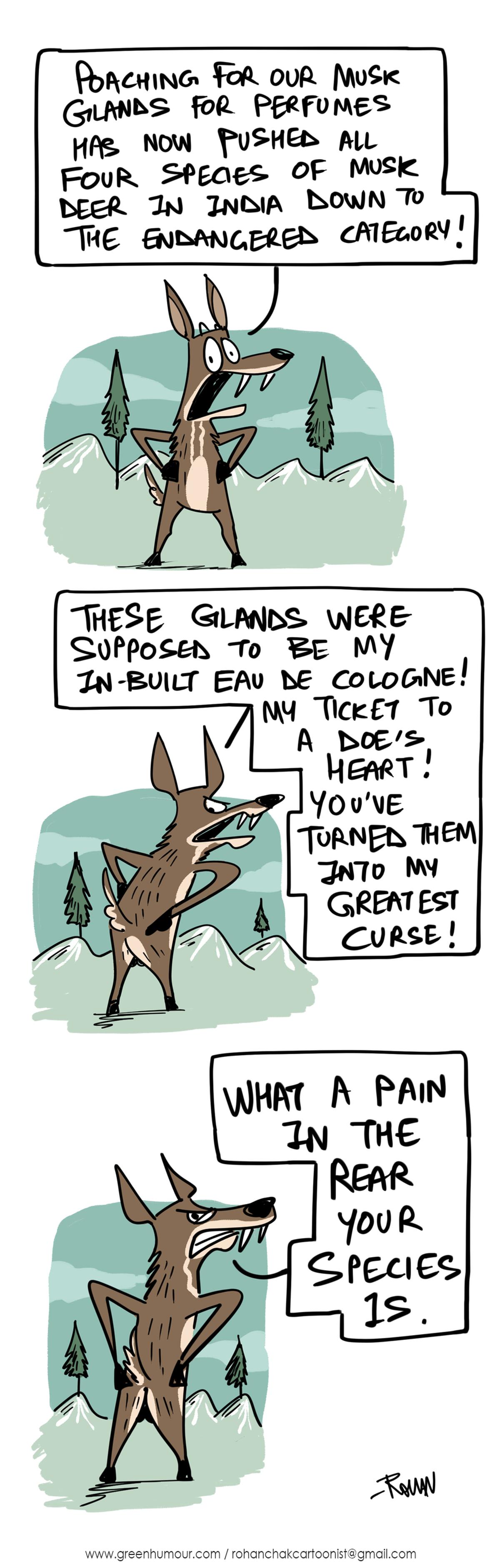 Green Humour | Photo Credit: Rohan Chakravarty Green Humour | Photo Credit: Rohan Chakravarty