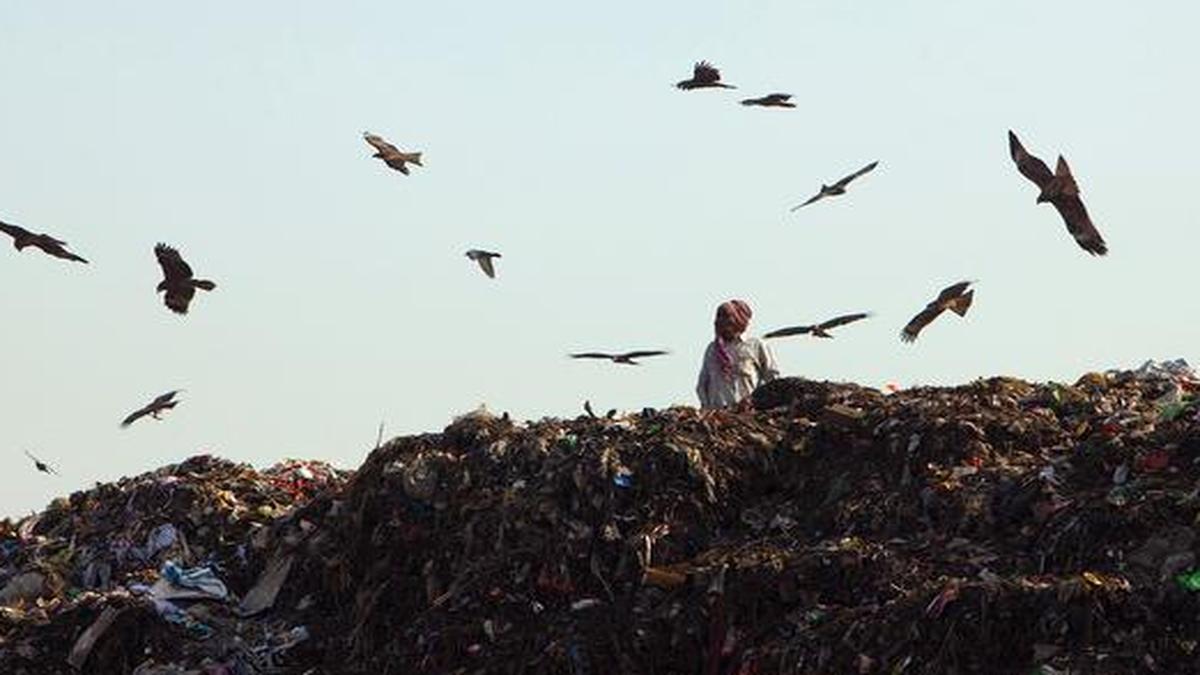 Rag pickers The Hindu