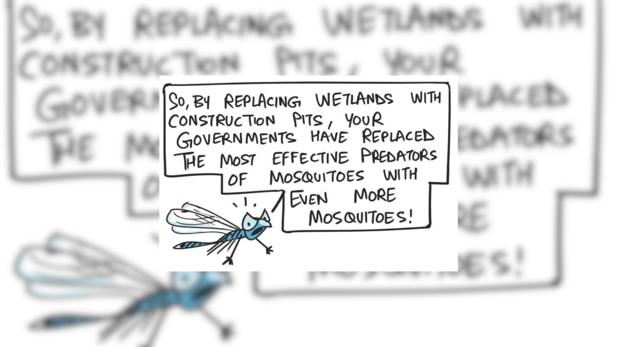 Disappearing wetlands and mosquito menace | Green Humour by Rohan Chakravarty