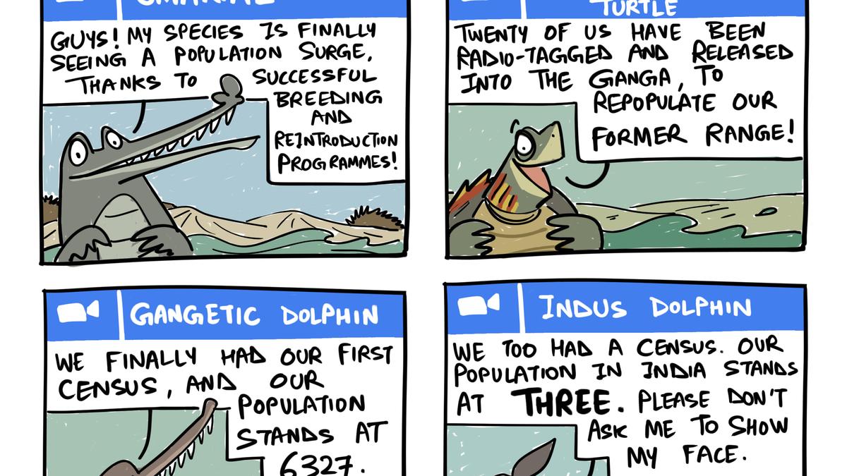 On endangered Indian river species | Green humour by Rohan Chakravarty​
