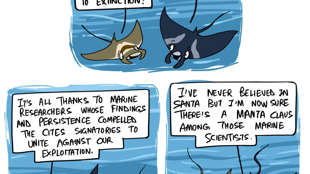 Protection from wildlife trade for manta rays | Green Humour by Rohan Chakravarty