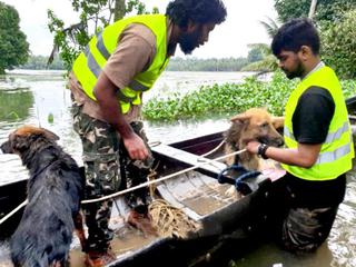 Kerala floods: Animal rescuers lend a helping hand - The Hindu