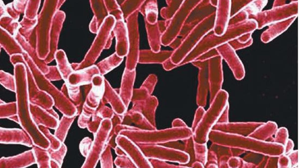 100-day TB elimination campaign far from achieving main objective