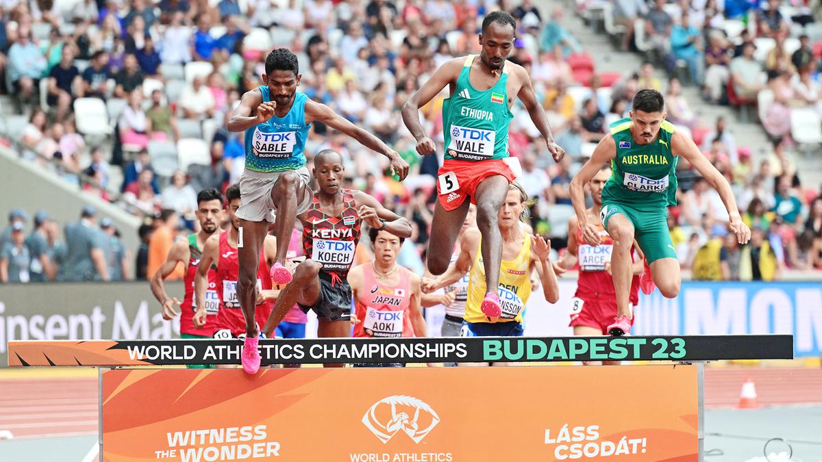 In-form Sable falters on World Athletics Championships stage, fails to mask anguish; long jumper Shaili also falls short 