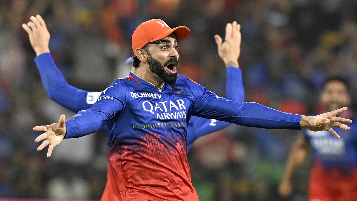 How Royal Challengers regained their position at the IPL high table