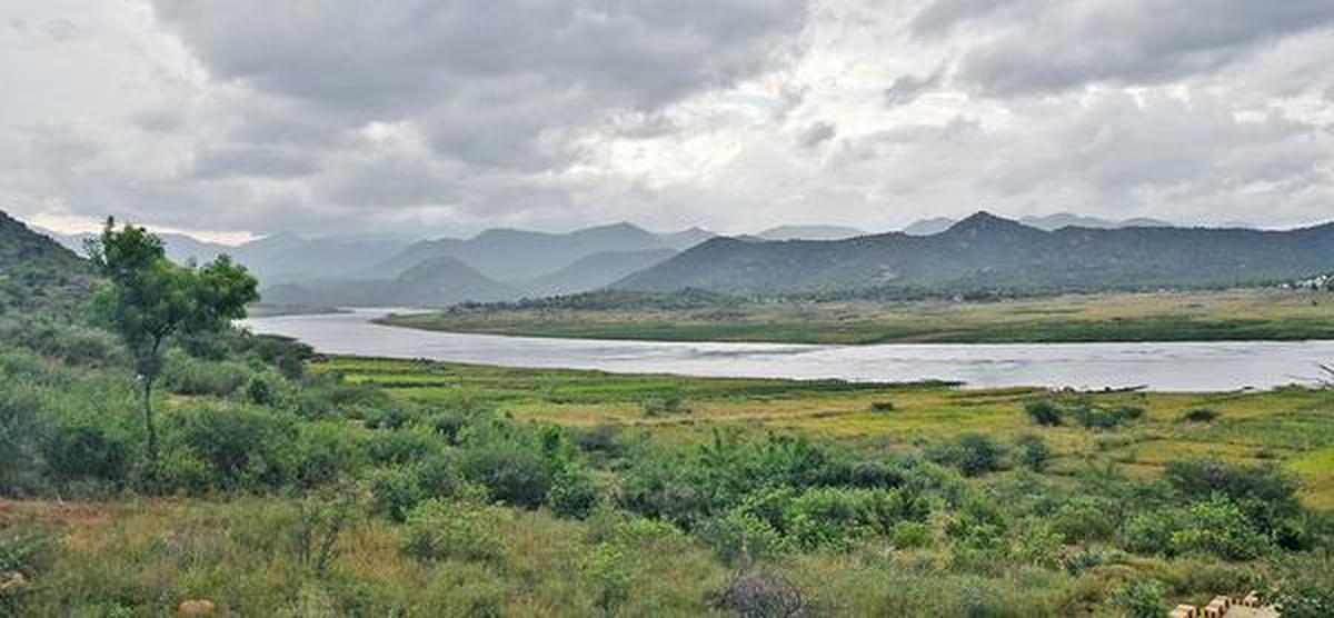 Satellite data show India's major deltas sinking due to human activity -  The Hindu