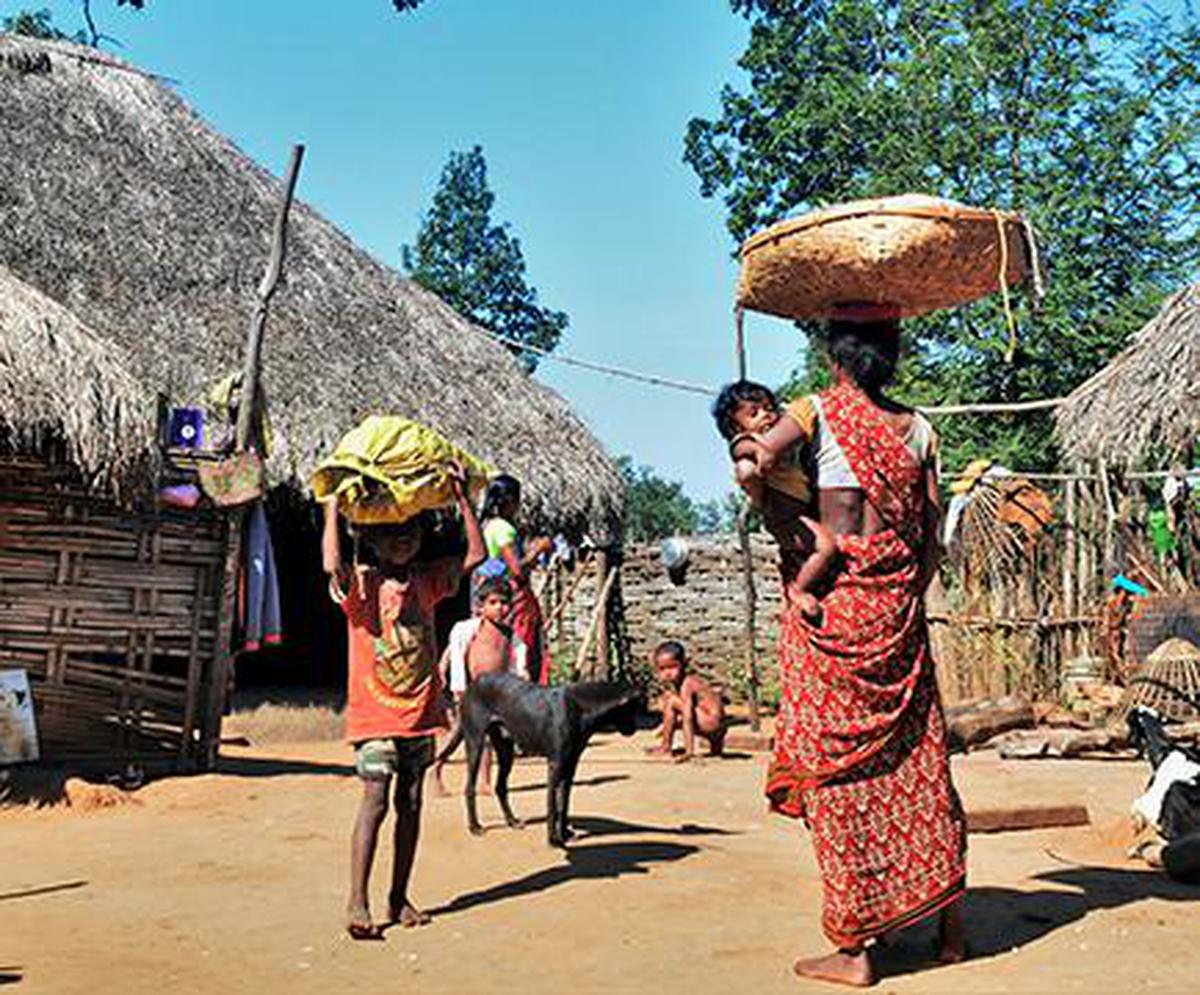 Eviction threat looms over migrant Gutti Koya Adivasis
Premium