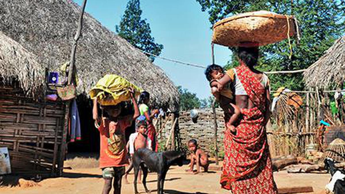 Eviction threat looms over migrant Gutti Koya Adivasis